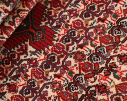 Asadabad orientalisk matta 83 x 194 cm