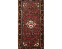 Asadabad orientalisk matta 168 x 327 cm