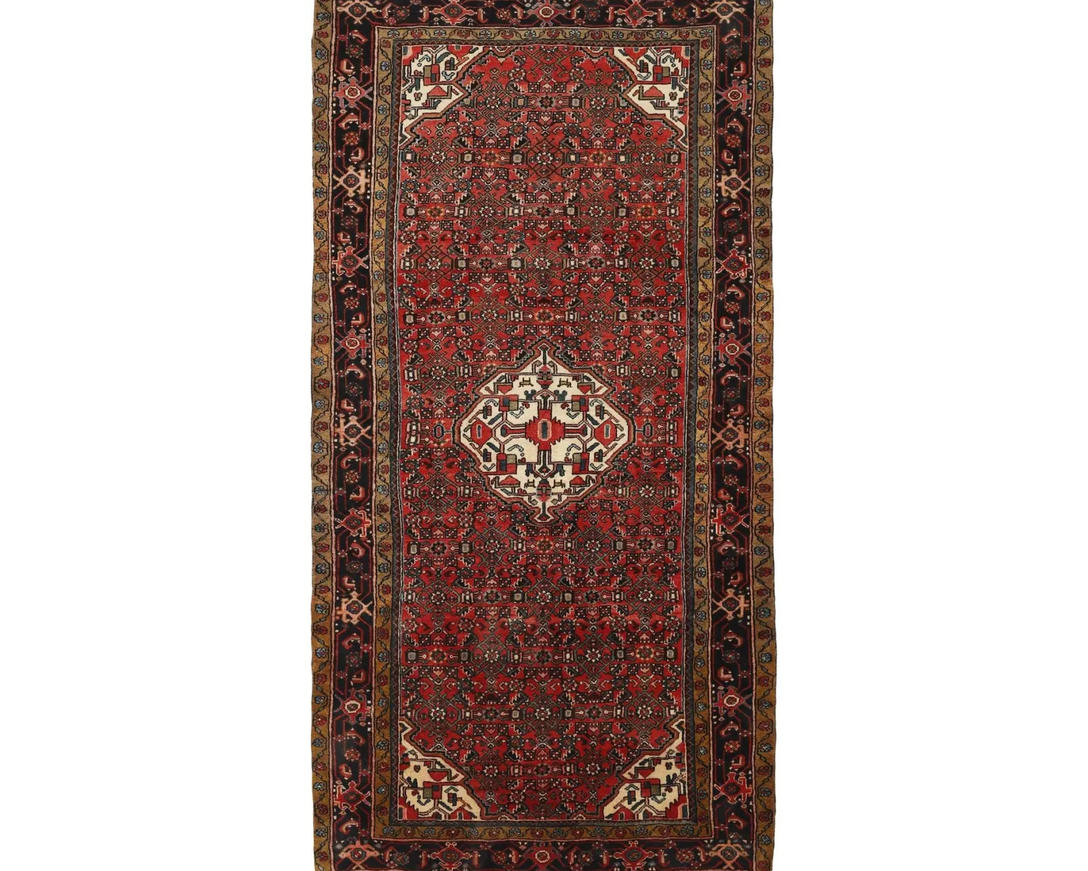 Asadabad orientalisk matta 168 x 327 cm