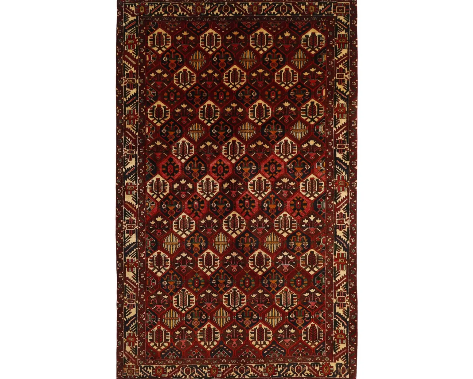 Bakhtiyar orientalisk matta 200 x 320 cm