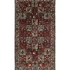 Bakhtiyar orientalisk matta 167 x 307 cm