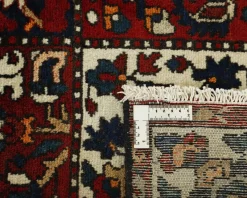 Bakhtiyar orientalisk matta 167 x 307 cm