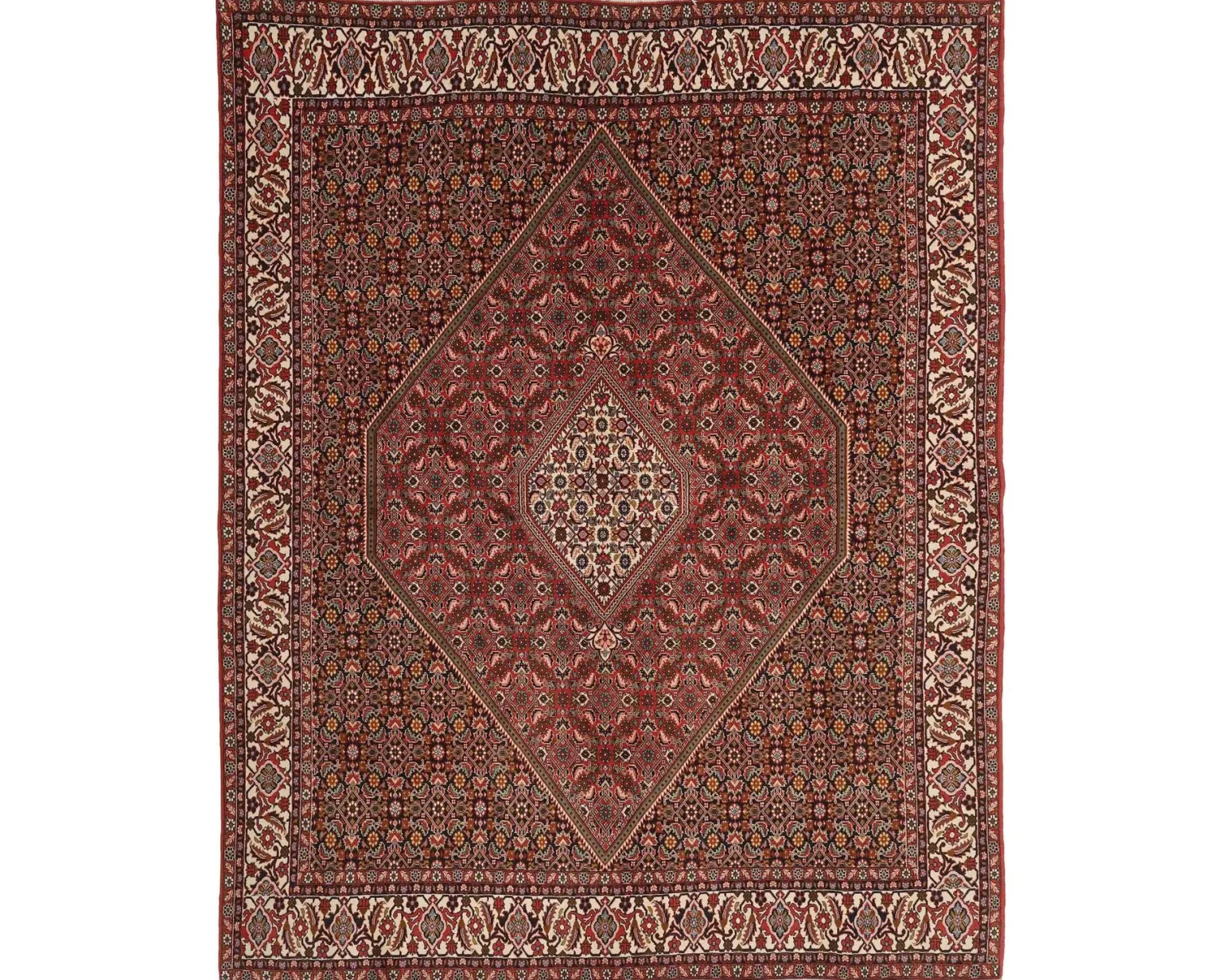 Bidjar Zandjan orientalisk matta 246 x 305 cm