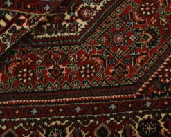 Bidjar Zandjan orientalisk matta 75 x 102 cm