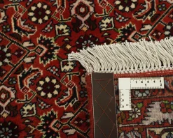 Bidjar Zandjan orientalisk matta 248 x 350 cm