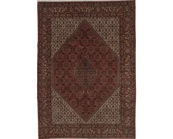 Bidjar Zandjan orientalisk matta 204 x 295 cm
