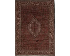 Bidjar Zandjan orientalisk matta 206 x 300 cm