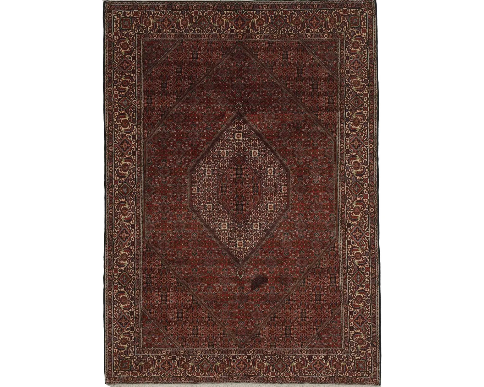 Bidjar Zandjan orientalisk matta 206 x 300 cm
