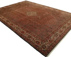 Bidjar Zandjan orientalisk matta 248 x 350 cm