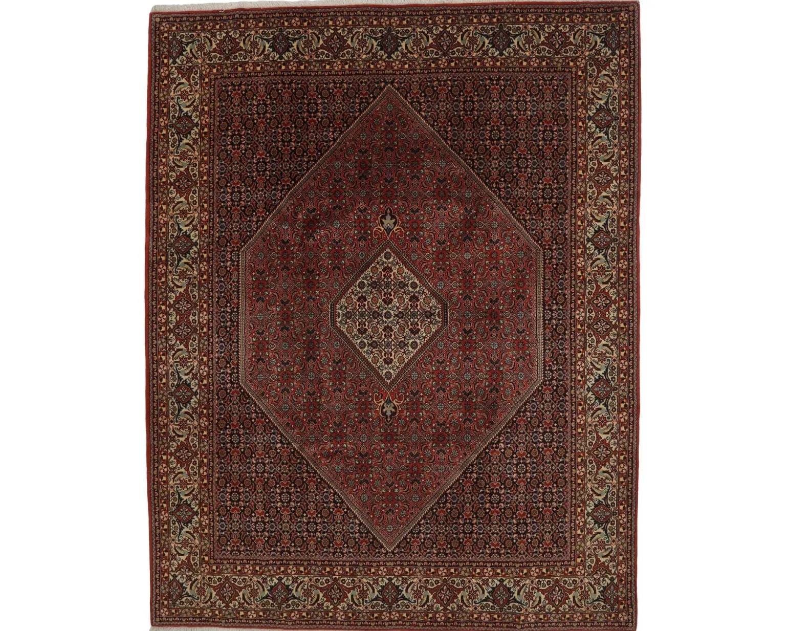 Bidjar Zandjan orientalisk matta 253 x 351 cm