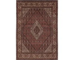 Bidjar Zandjan orientalisk matta 205 x 297 cm