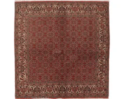 Bidjar Zandjan orientalisk matta 195 x 201 cm