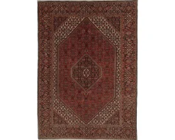 Bidjar Zandjan orientalisk matta 192 x 300 cm