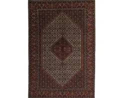 Bidjar Zandjan orientalisk matta 198 x 305 cm