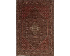 Bidjar Zandjan orientalisk matta 195 x 294 cm