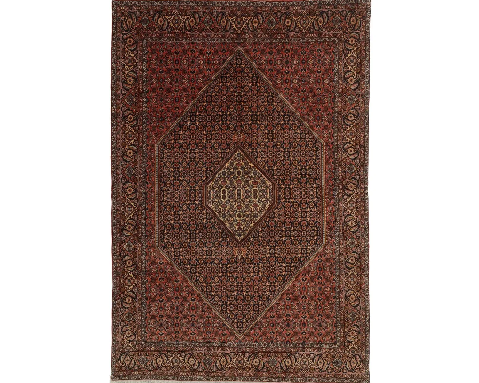 Bidjar Zandjan orientalisk matta 195 x 294 cm