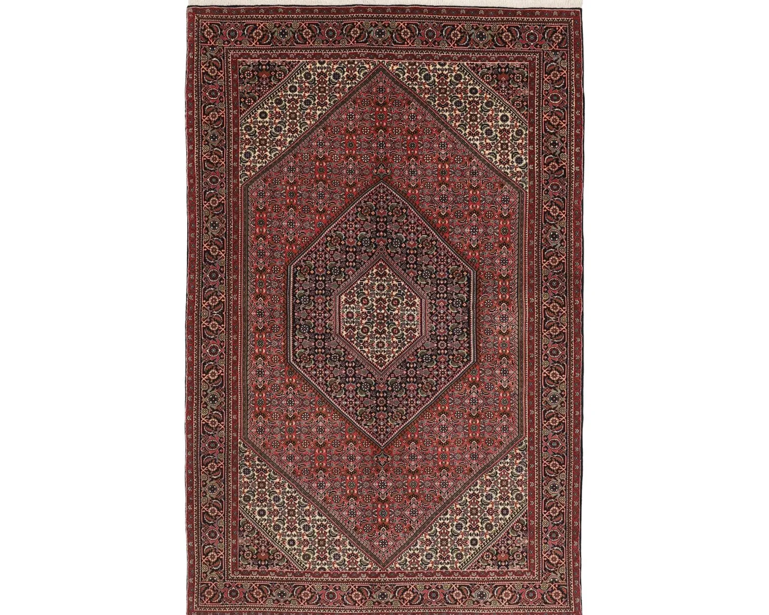 Bidjar Zandjan orientalisk matta 157 x 250 cm