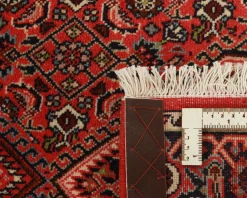 Bidjar Zandjan orientalisk matta 76 x 248 cm