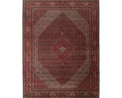 Bidjar Zandjan orientalisk matta 295 x 388 cm