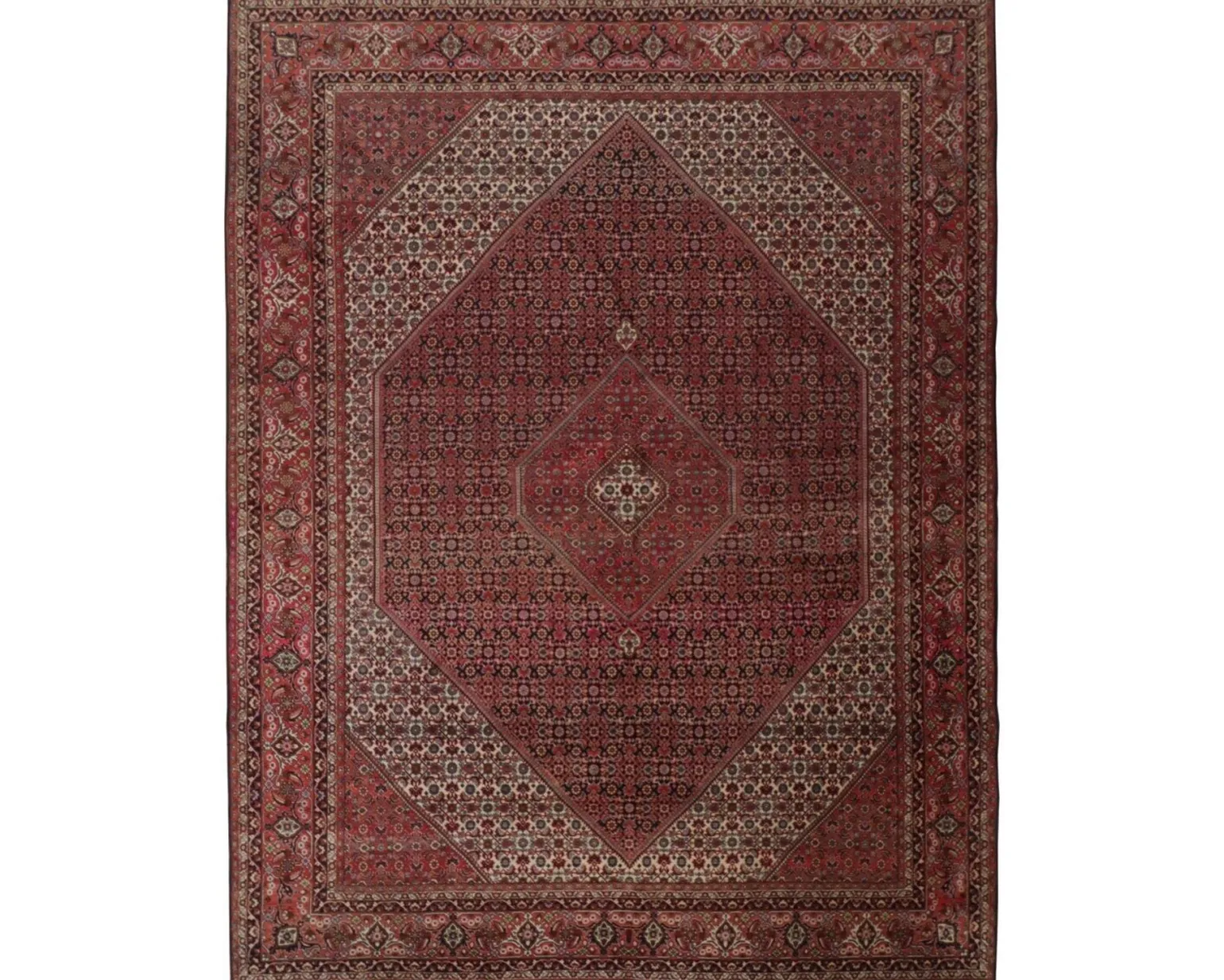 Bidjar Zandjan orientalisk matta 295 x 388 cm
