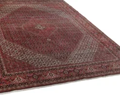 Bidjar Zandjan orientalisk matta 295 x 388 cm