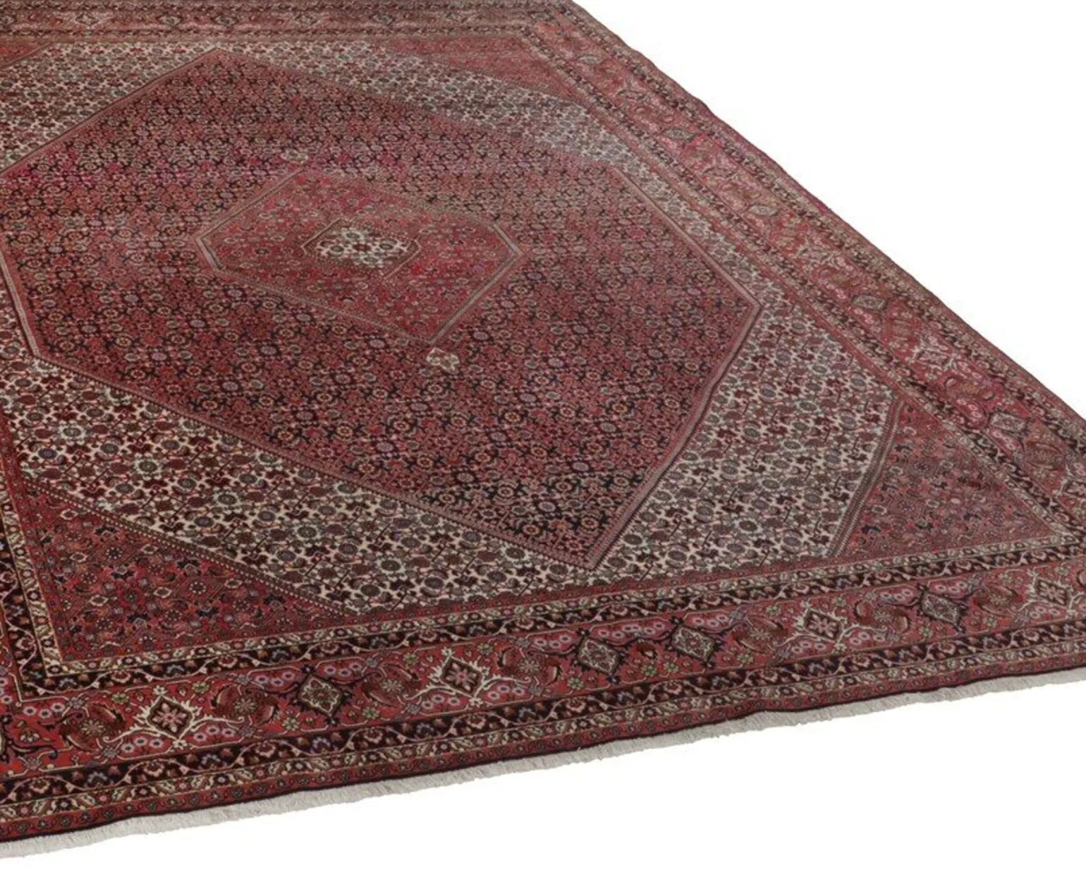 Bidjar Zandjan orientalisk matta 295 x 388 cm