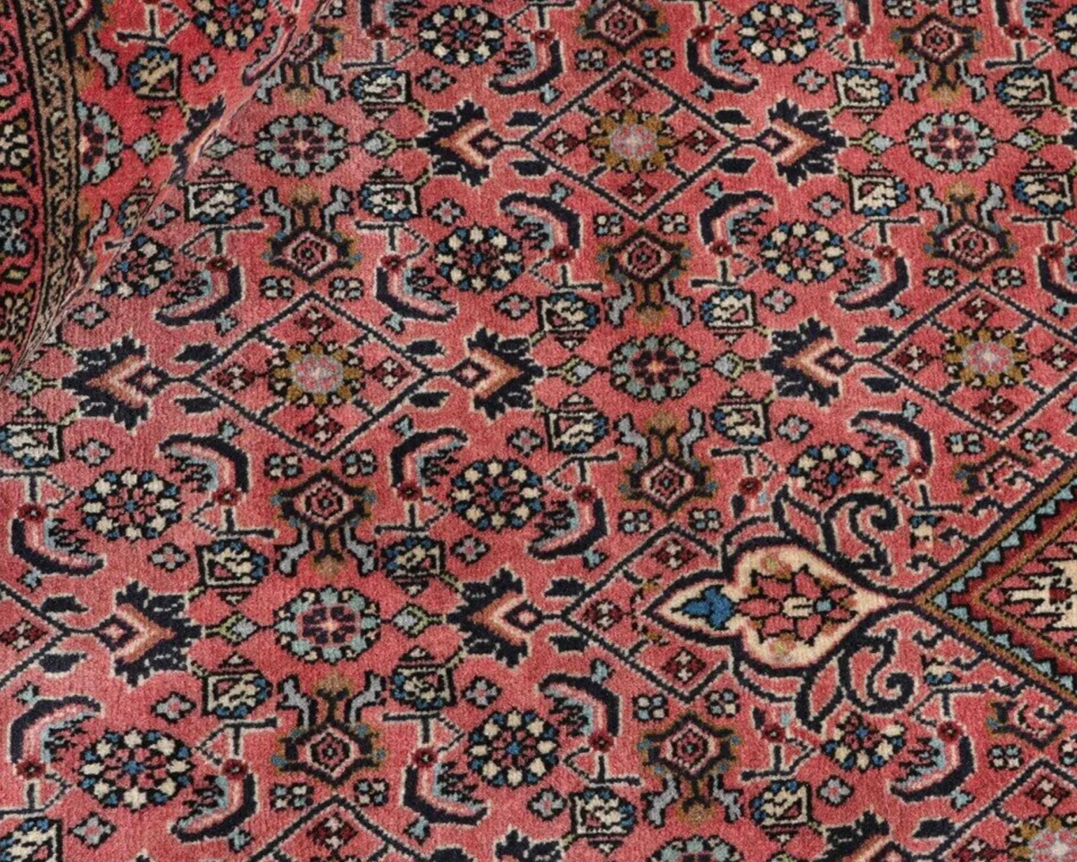 Bidjar Zandjan orientalisk matta 298 x 390 cm