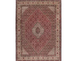 Bidjar Zandjan orientalisk matta 252 x 347 cm