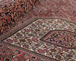 Bidjar Zandjan orientalisk matta 252 x 347 cm