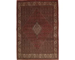 Bidjar Zandjan orientalisk matta 202 x 284 cm