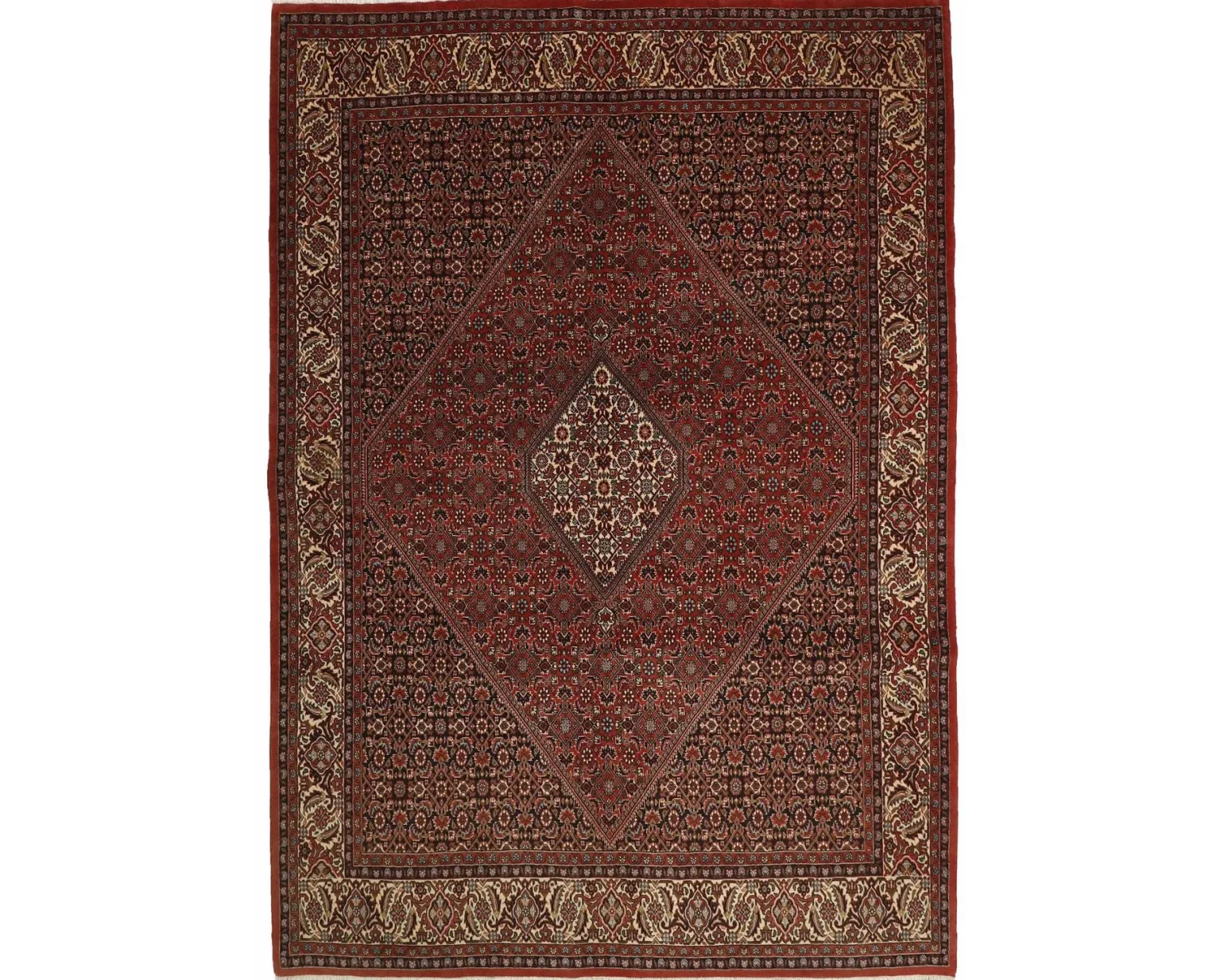 Bidjar Zandjan orientalisk matta 202 x 284 cm