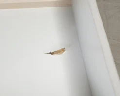 Frodsham säng 90 cm ljusgrå