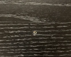 Kopparbo matbord 200 cm svart