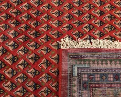 Mir Boteh orientalisk matta 300 x 393 cm