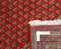 Mir Boteh orientalisk matta 247 x 361 cm