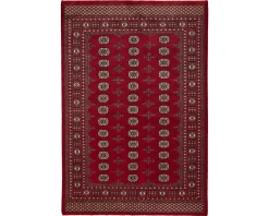 Pakistan handknotted orientalisk matta 170 x 249 cm