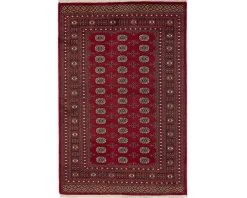 Pakistan handknotted orientalisk matta 169 x 255 cm
