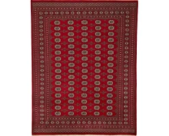 Pakistan handknotted orientalisk matta 247 x 314 cm