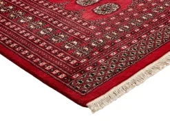 Pakistan handknotted orientalisk matta 206 x 301 cm