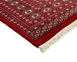 Pakistan handknotted orientalisk matta 247 x 312 cm