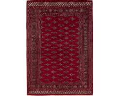 Pakistan handknotted orientalisk matta 170 x 245 cm