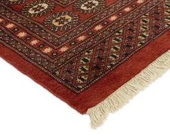 Pakistan handknotted orientalisk matta 245 x 305 cm