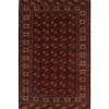 Rezas orientalisk x Torkaman matta 256 x 388 cm