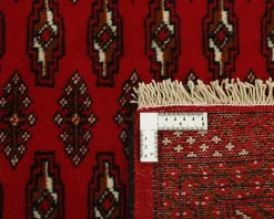 Rezas orientalisk x Torkaman matta 256 x 339 cm