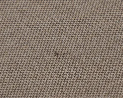 Sofacompany Daphne divanmodul beige
