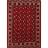 Torkaman orientalisk matta 217 x 312 cm